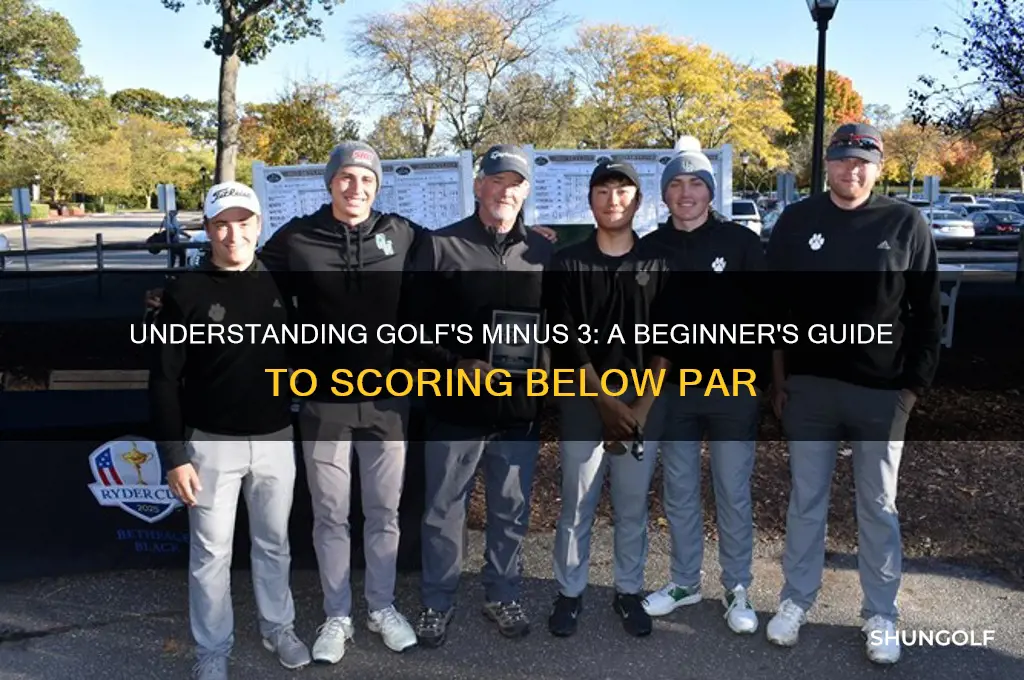 what is minus 3 in golf