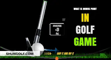 Understanding the Minus Point System in Golf: A Beginner's Guide