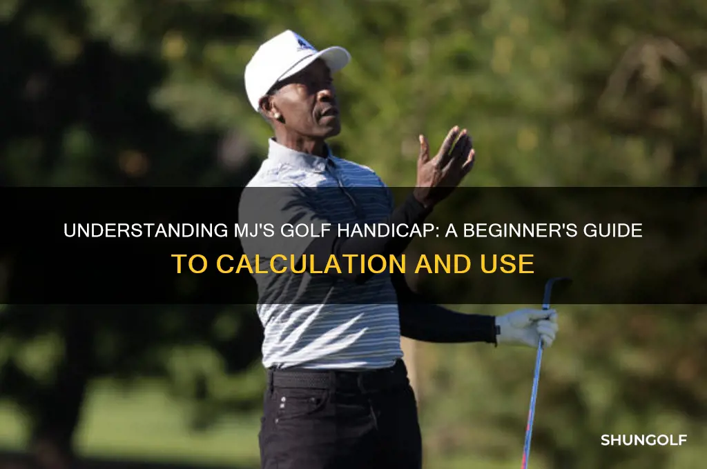 what is mj golf handicap