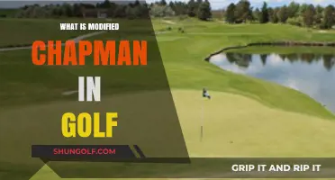 Understanding the Modified Chapman Golf Format: Rules and Strategy