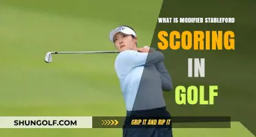 Understanding Modified Stableford Scoring: A Unique Golf Points System