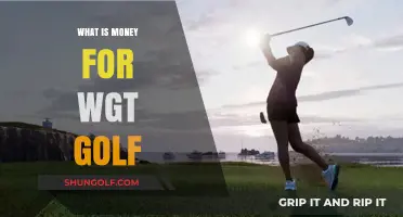 Understanding WGT Golf's In-Game Currency: What is Money For?