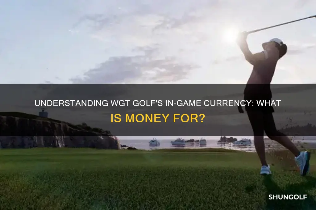 what is money for wgt golf