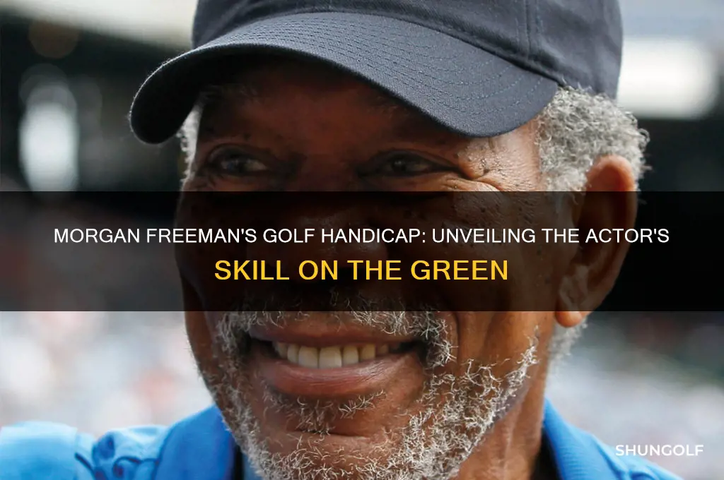 what is morgan freeman
