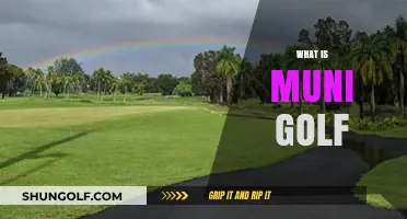 Understanding Muni Golf: A Beginner's Guide to Municipal Courses