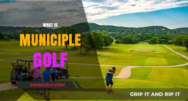 Exploring Municipal Golf: Affordable, Accessible, and Community-Focused Courses