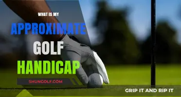 Understanding Your Golf Handicap: A Guide to Estimating Your Skill Level