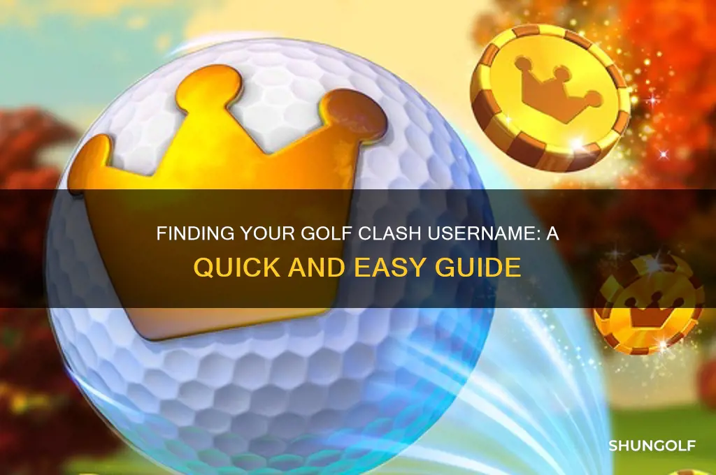 what is my golf clash username