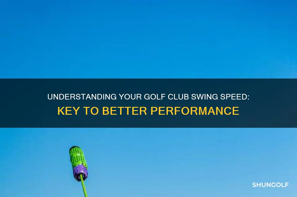 what is my golf club swing speed