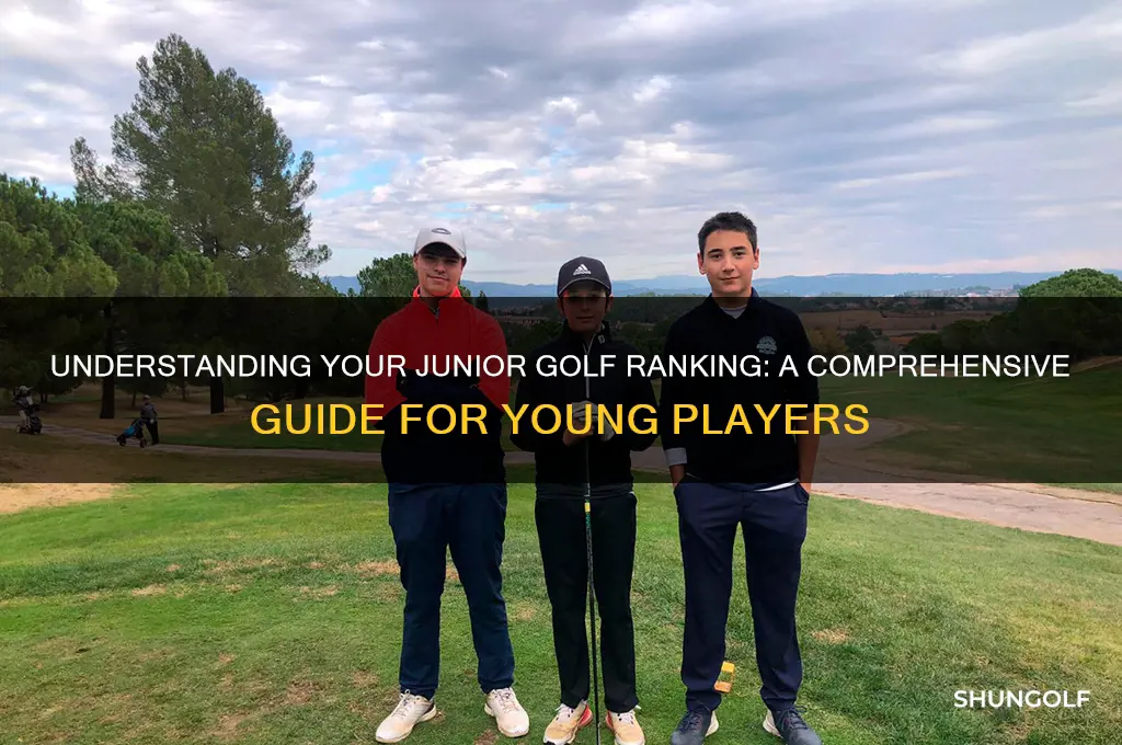 what is my junior golf ranking