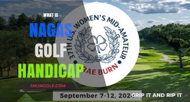 Understanding the Nagas Golf Handicap System for Better Gameplay