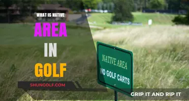 Understanding the Native Area in Golf: Definition, Rules, and Impact
