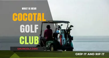 Exploring the Vibrant Surroundings Near Cocotal Golf Club in Punta Cana