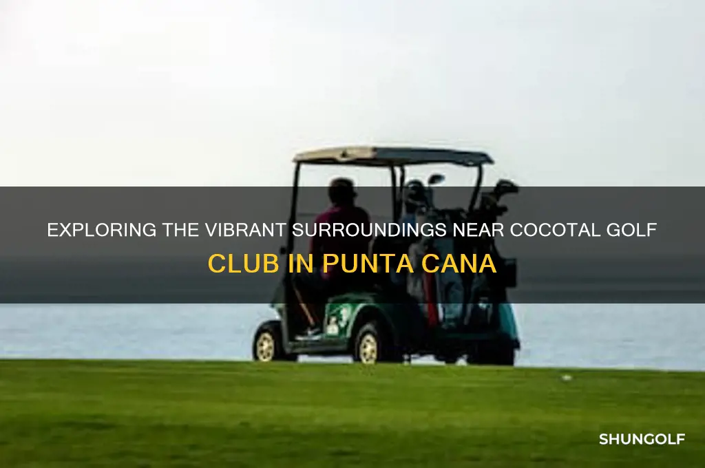 what is near cocotal golf club