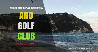Explore Attractions Near Naples Beach Hotel and Golf Club