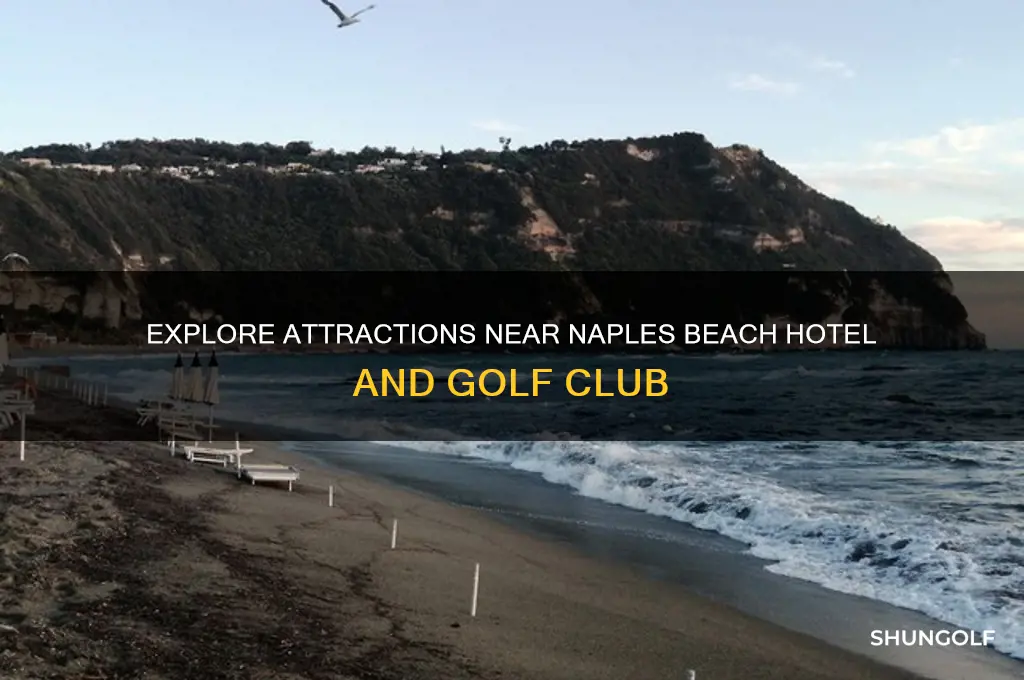 what is near naples beach hotel and golf club