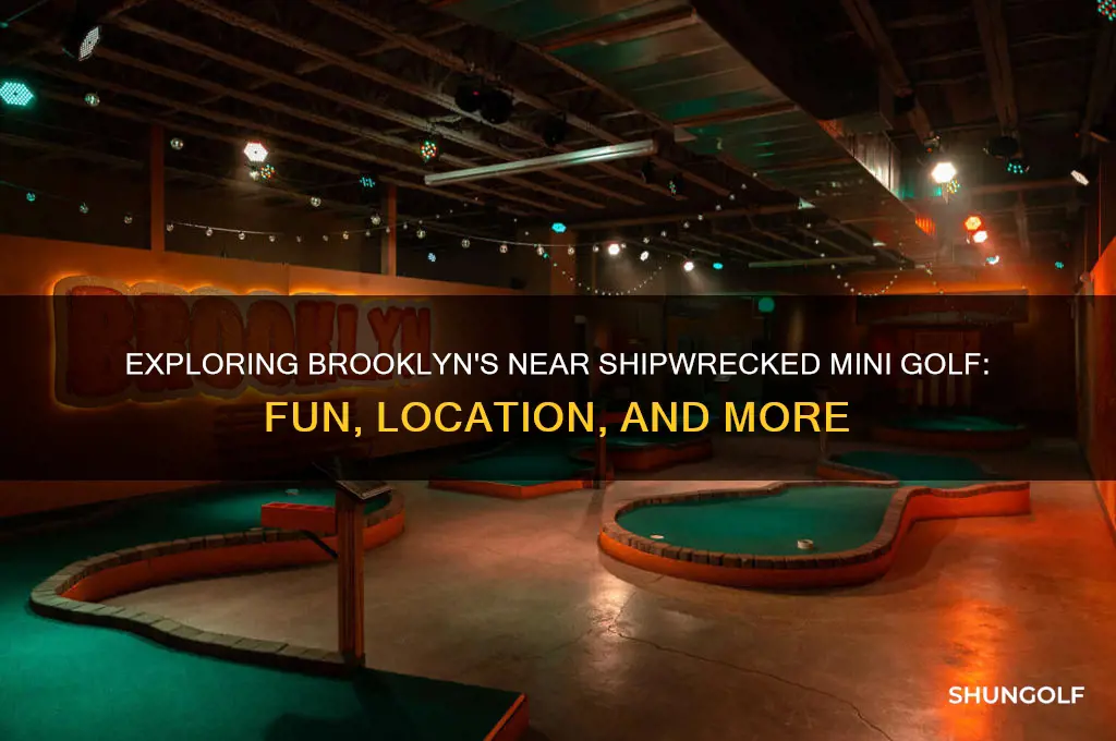 what is near shipwrecked mini golf brooklyn