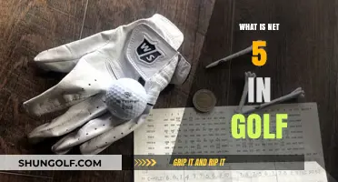 Understanding Net 5 in Golf: A Beginner's Guide to Scoring