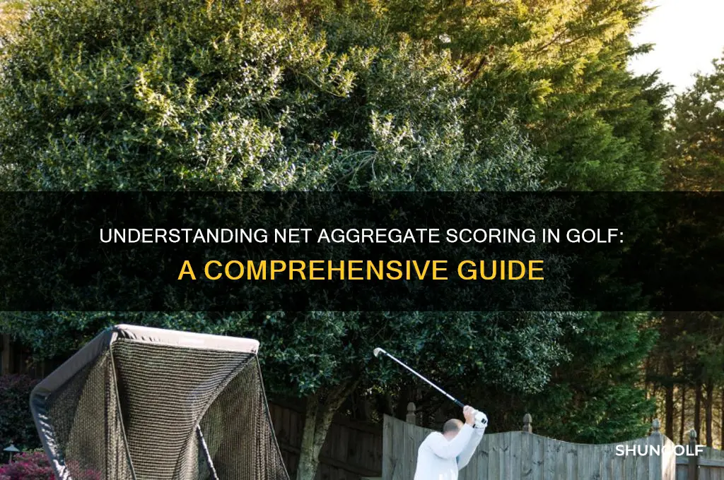 what is net aggregate scoring in golf