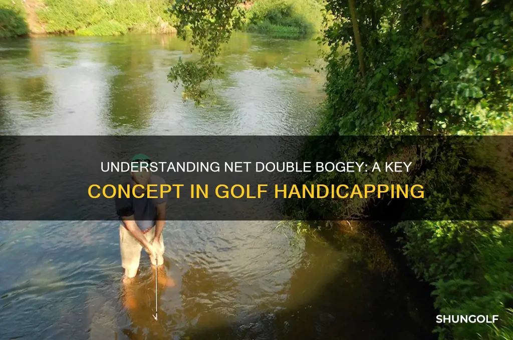 what is net double bogey in golf