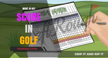 Understanding Net Score: Golf's Intricate Scoring System