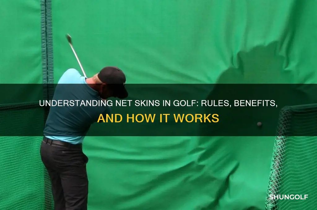 what is net skins in golf