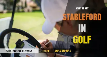 Net Stableford System: Golf's Unique Scoring Method