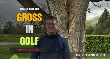 Understanding Nett vs. Gross Scores in Golf: A Beginner's Guide