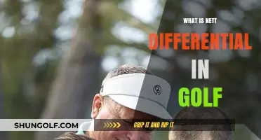 Understanding Nett Differential: Golf's Intricate Scoring System