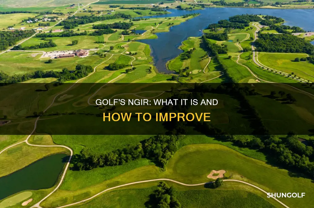 what is ngir golf