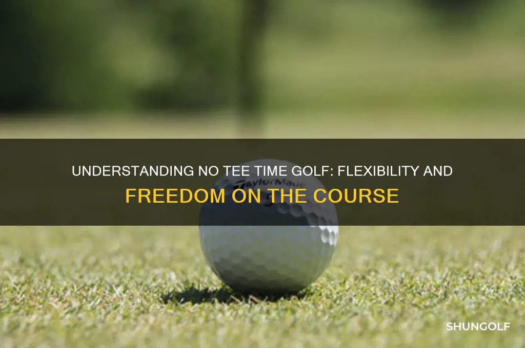 what is no tee time in golf