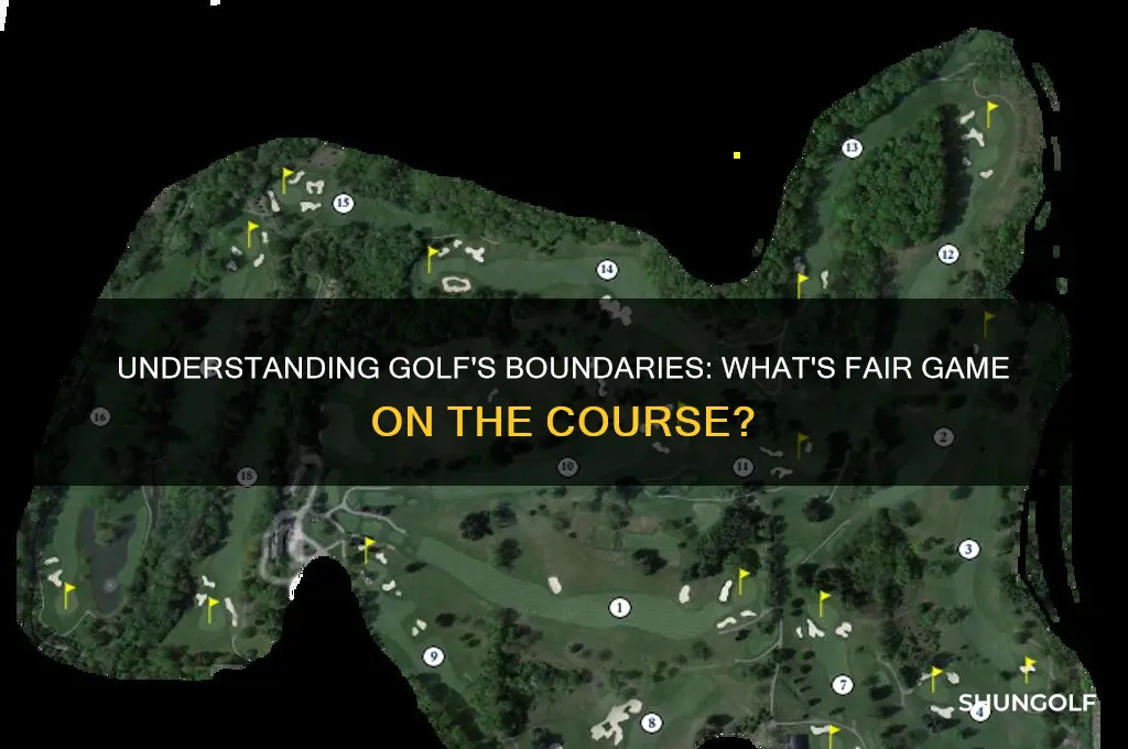 what is not out of bounds in golf
