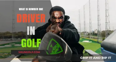 Unveiling Golf's Top Driver: A Comprehensive Guide to Excellence