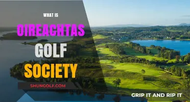 Golf Society's Controversial Oireachtas Event