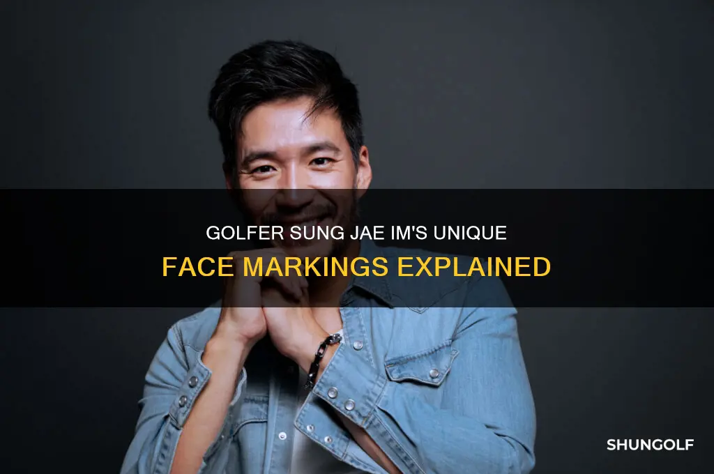 what is on golfer sung jae