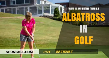 Golf's Rarest Feats: Scoring Better Than an Albatross Explained