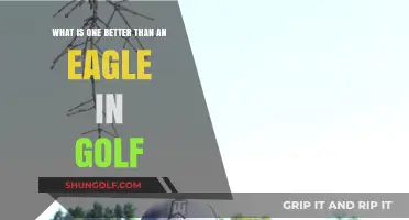 Golf's Rarest Feat: Scoring an Albatross, Better Than an Eagle