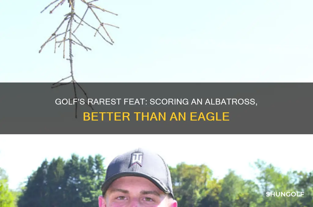 what is one better than an eagle in golf
