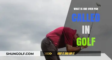 Understanding Golf's Bogey: What Does One Over Par Mean?