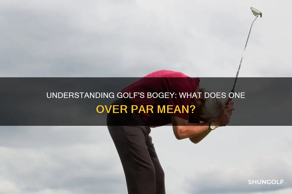 what is one over par called in golf