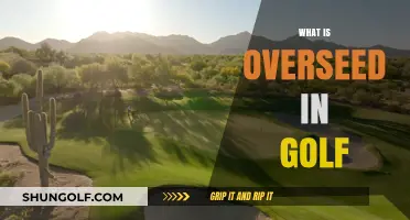 Golf Course Overseeding: Why and When?