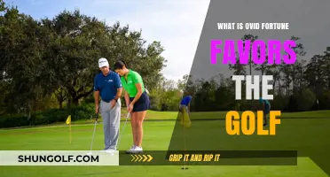 Ovid's Wisdom: Fortune Favors the Golf Course Strategist