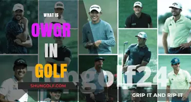 Understanding the OWGR in Golf: A Guide