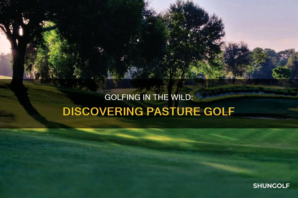 what is pasture golf
