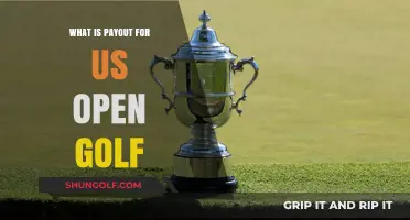 US Open Golf Payout: Prize Money Breakdown and Winners' Share