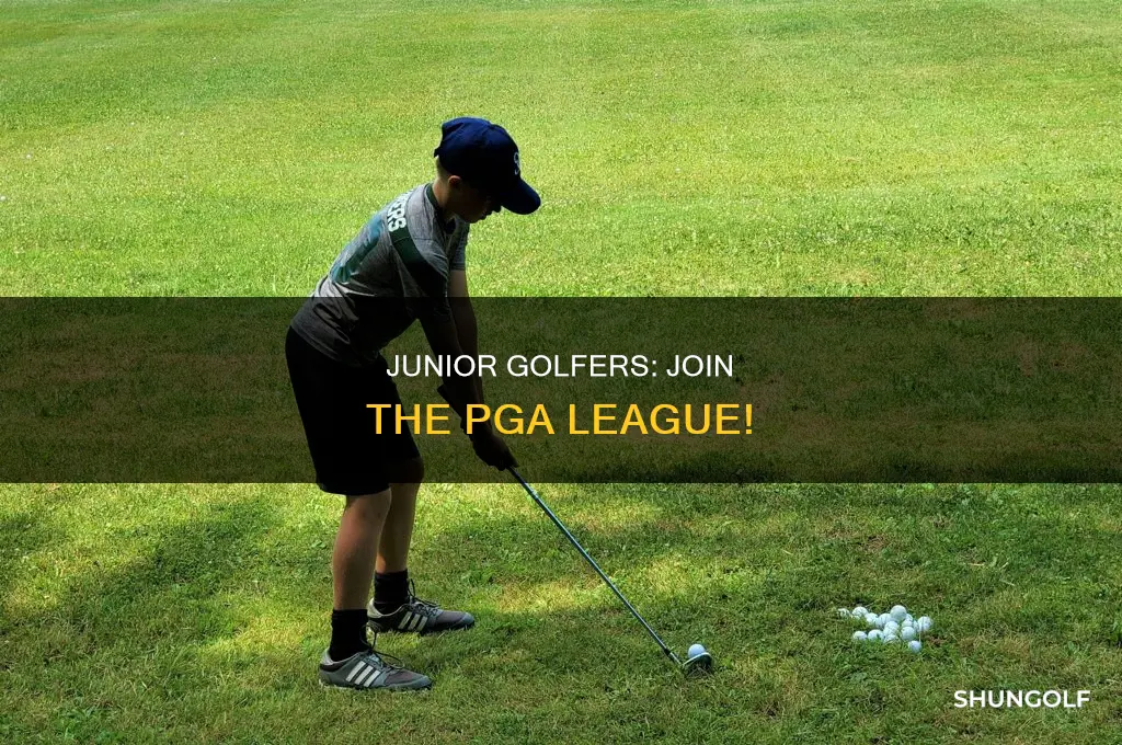 what is pga junior league golf