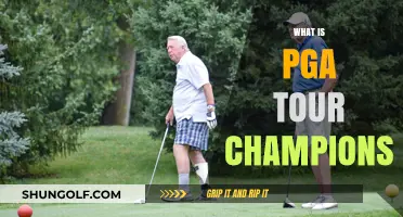 PGA Tour Champions: Golf's Golden Age