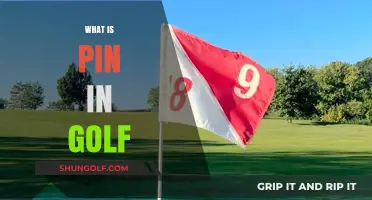 Golf's Pin Placement: Understanding the Pin's Role