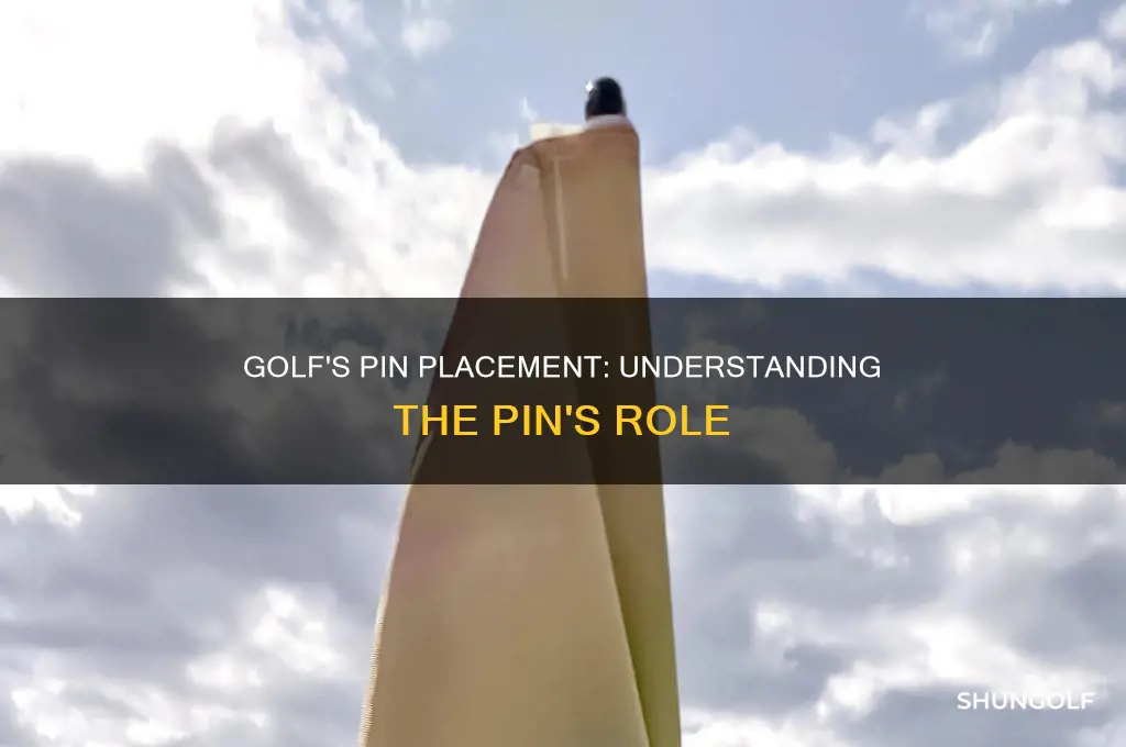 what is pin in golf