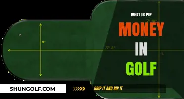 Golf's PIP Money: Understanding Player Impact Payments